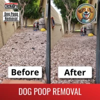 On the left is a gravel yard filled with dog poop. On the right is the same yard, but this time it has been cleared of dog poop by Clickapro