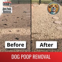 Before and After photo of Clickapro dog poop removal. In the 'after' photo, all of the dog poop has been scooped up.