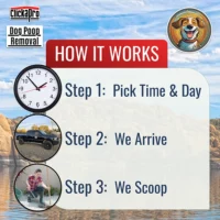 How Clickapro dog poop removal works: Step 1 - Pick a time and day. Step 2 - We Arrive. Step 3 - We Scoop
