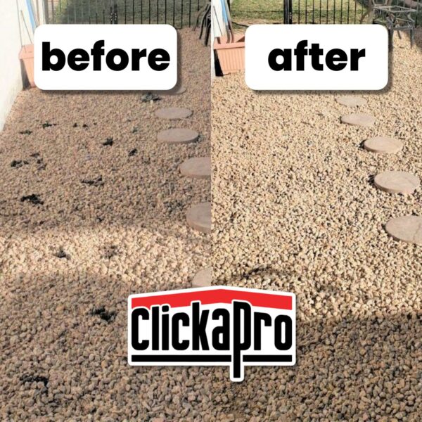 Dog Poop Cleanup Before and After