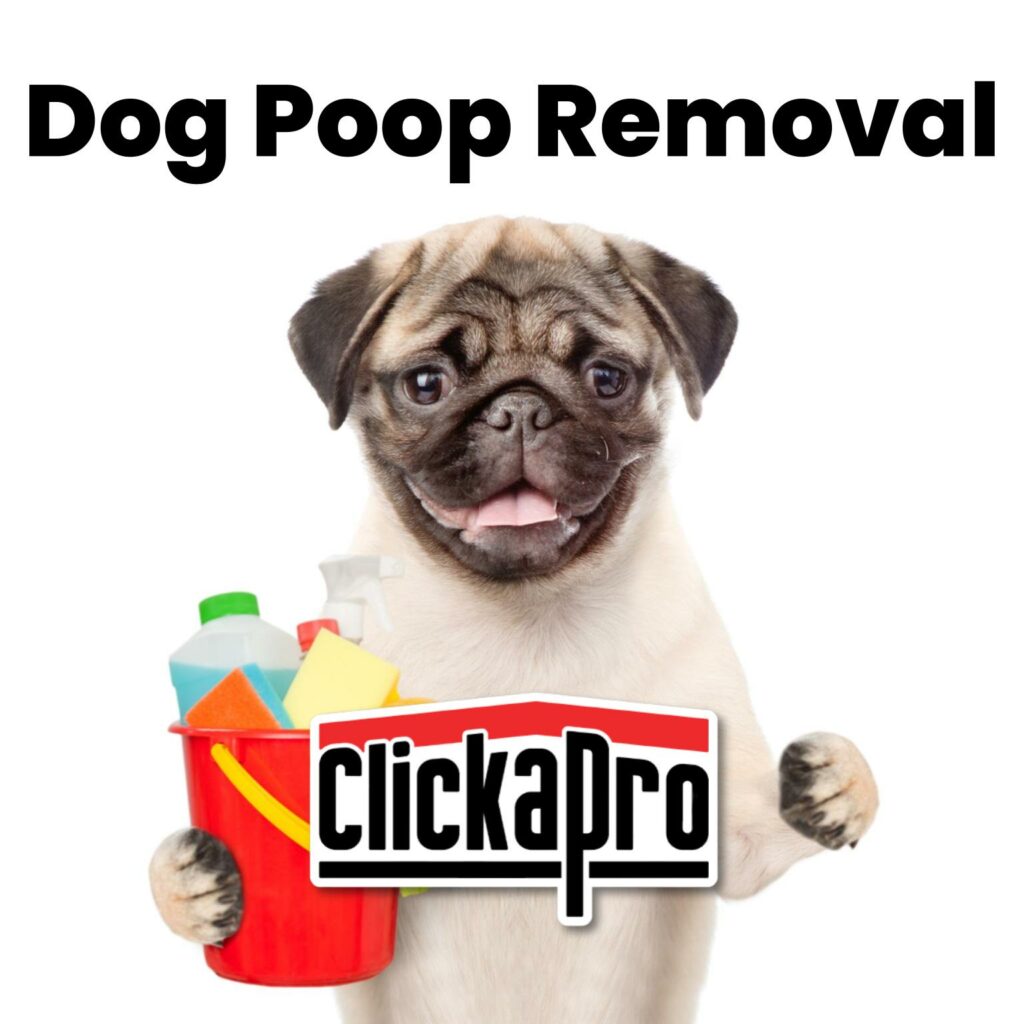 Dog Poop Removal By Clickapro - Cute Puppy Holding Cleaning Supplies