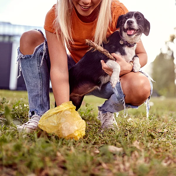 A Woman In An Orange Shirt is Leaning Down To Pick Up Dog Poop Using A Bag - She Is Holding Her Dog And A Stick With Her Other Hand