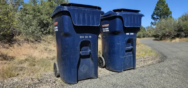 Part of a trash to curb promo in Prescott, AZ, two blue trash bins are sitting on the side of the road awaiting collection.