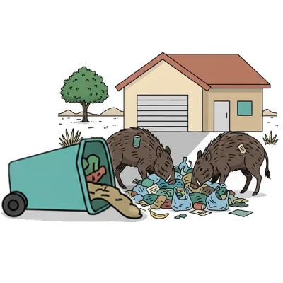 A pair of javelinas tearing through a trash bin they just knocked over in a Prescott, AZ yard.